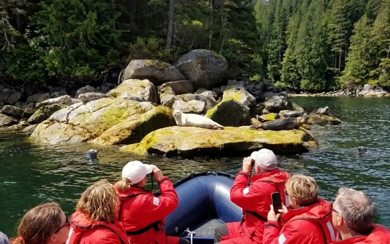 Granite Falls Zodiac Tour by Vancouver Water Adventures view 7