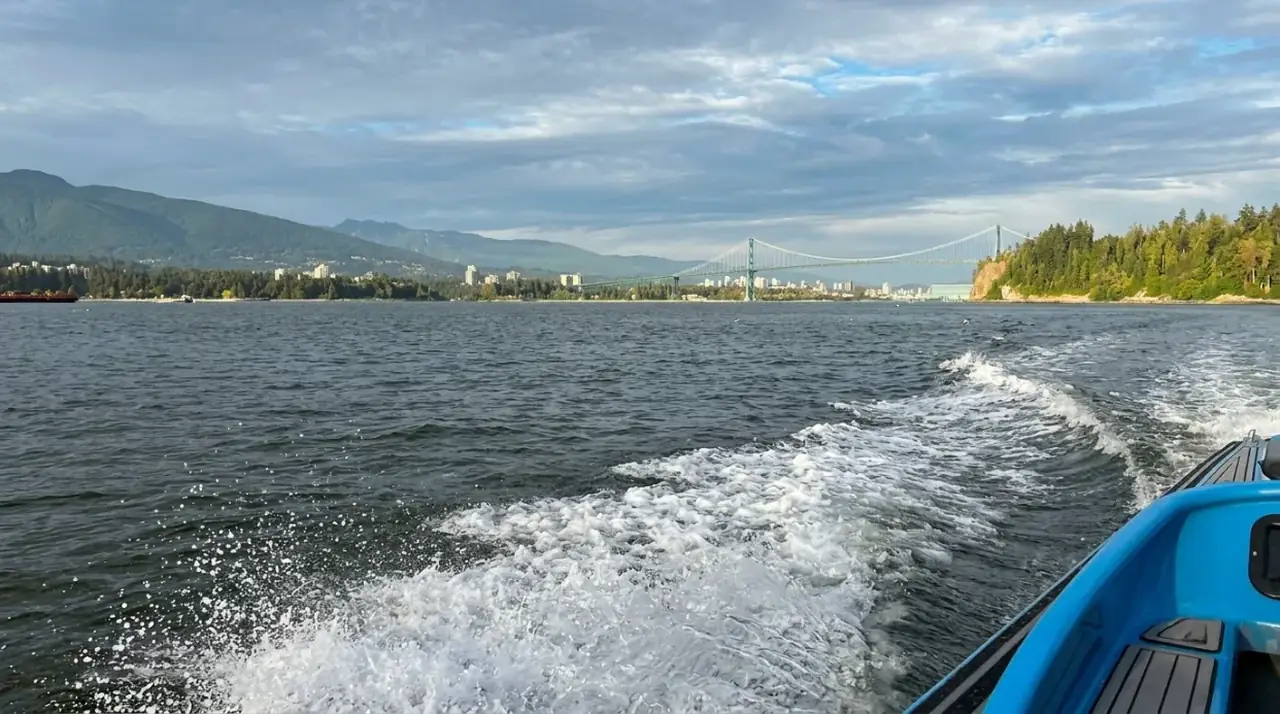 Vancouver City and Seal Colony Scenic Boat Tour view 14