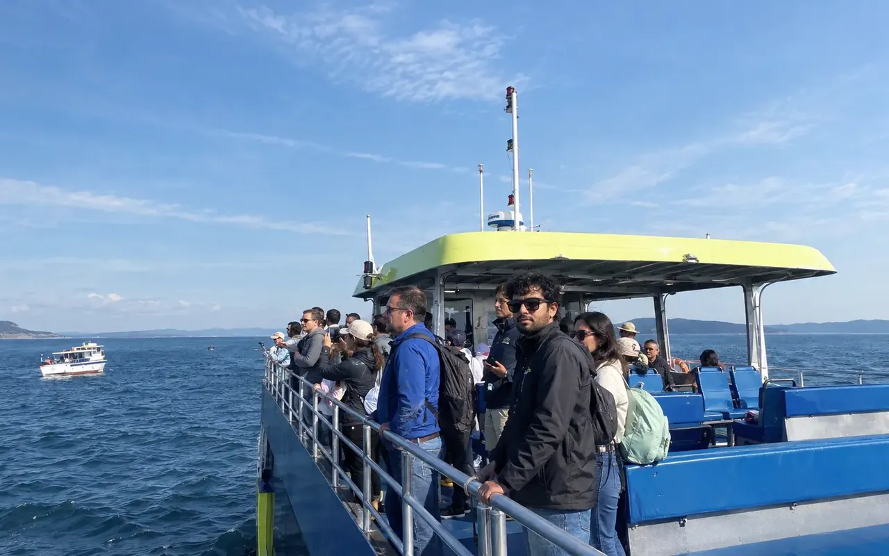 Vancouver Half Day Whale Watching Adventure with Free Photos view 4